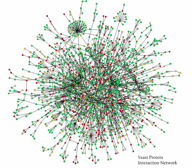 graph database